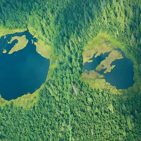Wuerzbachhaus Appartement
