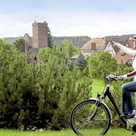 Wuerzbachhaus Appartement Oberreichenbach (Calw)